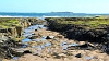 _MG_3352 Farne Island